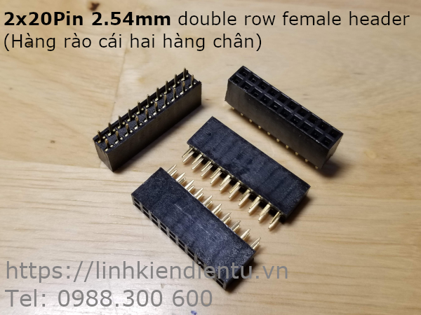 2x10P 2.45mm double row female header - hàng rào cái, hai hàng chân cắm