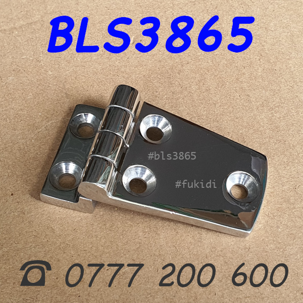Bản lề tủ điện inox 316 KT 38x66, dày 4.5mm - BLS3865