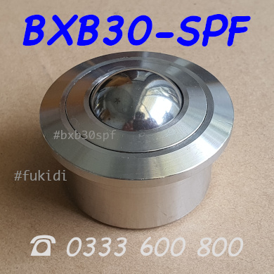 Bánh xe đa hướng phi 30, inox 304, tải 240kg - BXB30-SPF