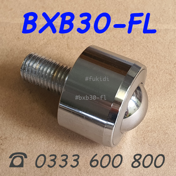 Bánh xe bi đa hướng phi 30, tải trọng 300kg - BXB30-FL