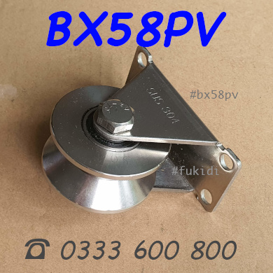 Bánh xe cửa cổng inox 304 KT 30x58mm chạy ray V tải trọng 480kg - BX58PV