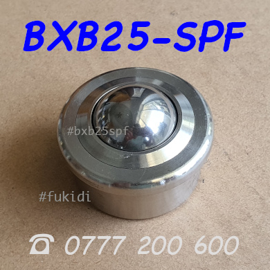 Bánh xe bi đa hướng phi 25, inox 304, tải 180kg - BXB25-SPF