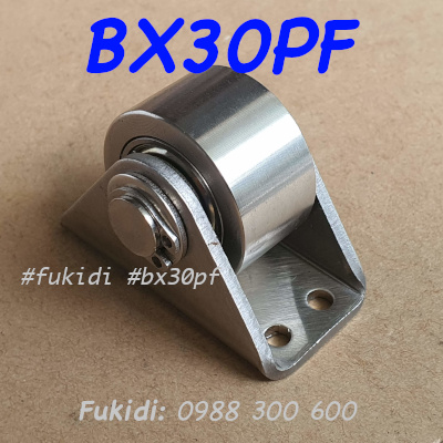 Bánh xe inox 304 KT 17x30mm, tải trọng 180kg  - BX30PF