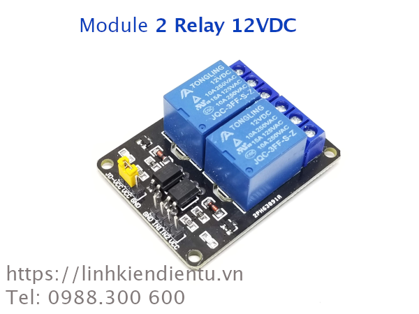 Module 2 Relay 12VDC