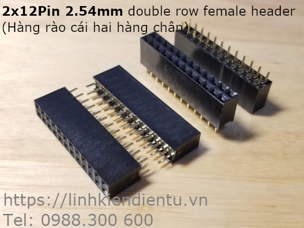 2x12P 2.45mm double row female header - hàng rào cái, hai hàng chân cắm