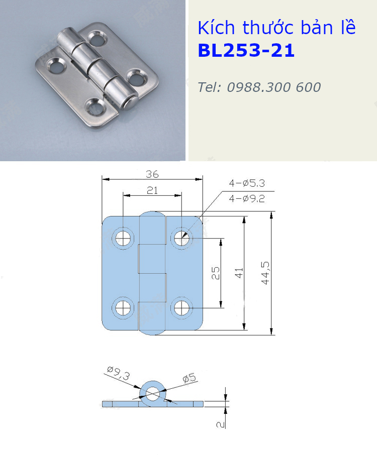 Bản lề tủ điện CL253-21, chất liệu inox 304, kích thước 36x44mm màu bạc