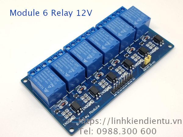Module 6 Relay 12V